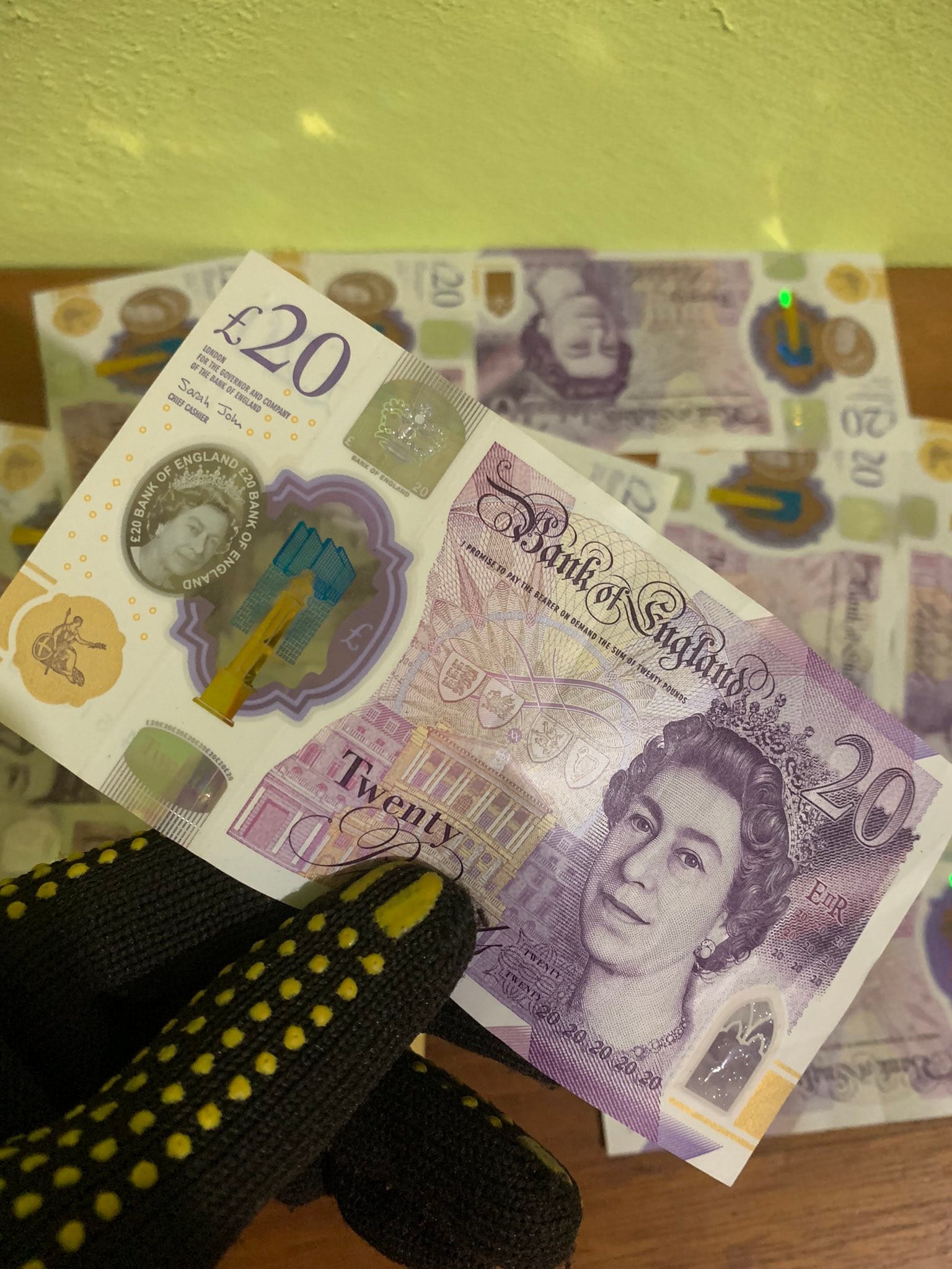 the Twenty-pound polymer note features